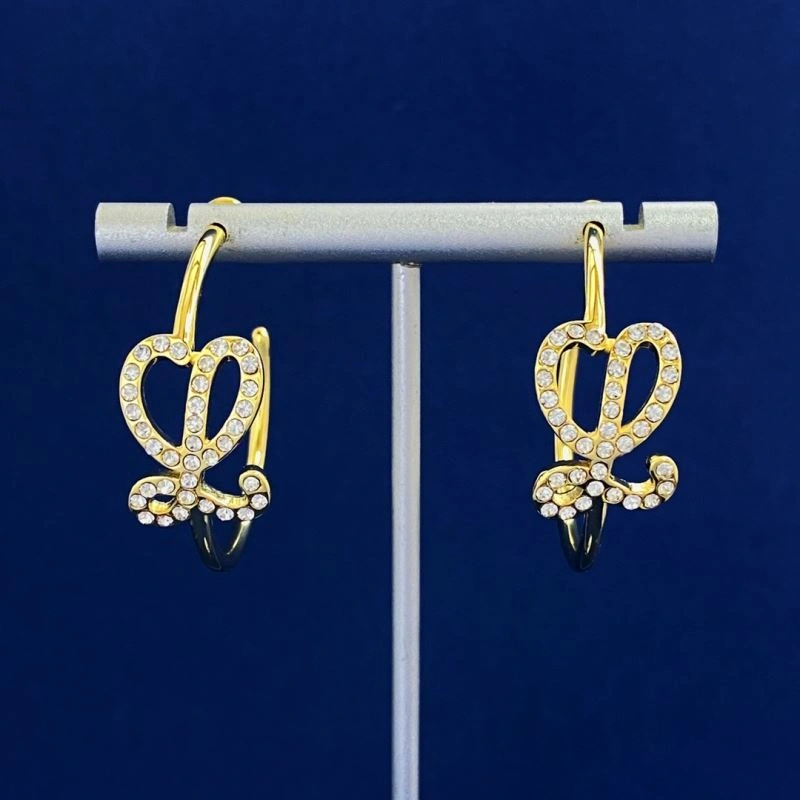 AllSeason Loewe Earrings 213904