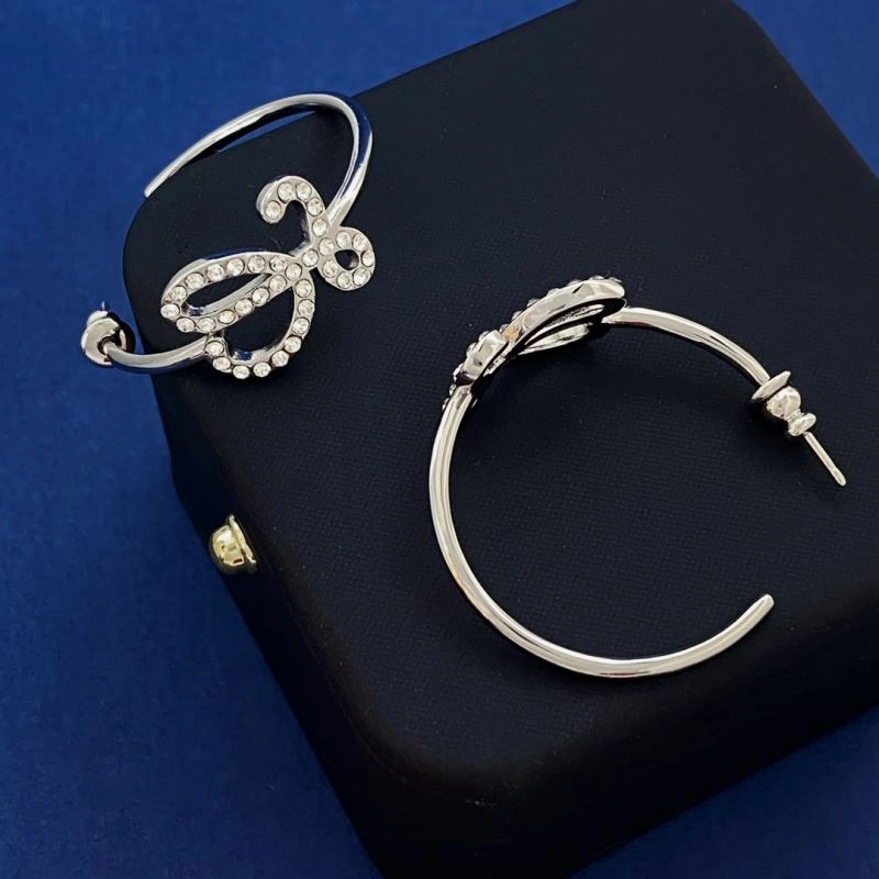 AllSeason Loewe Earrings 213904
