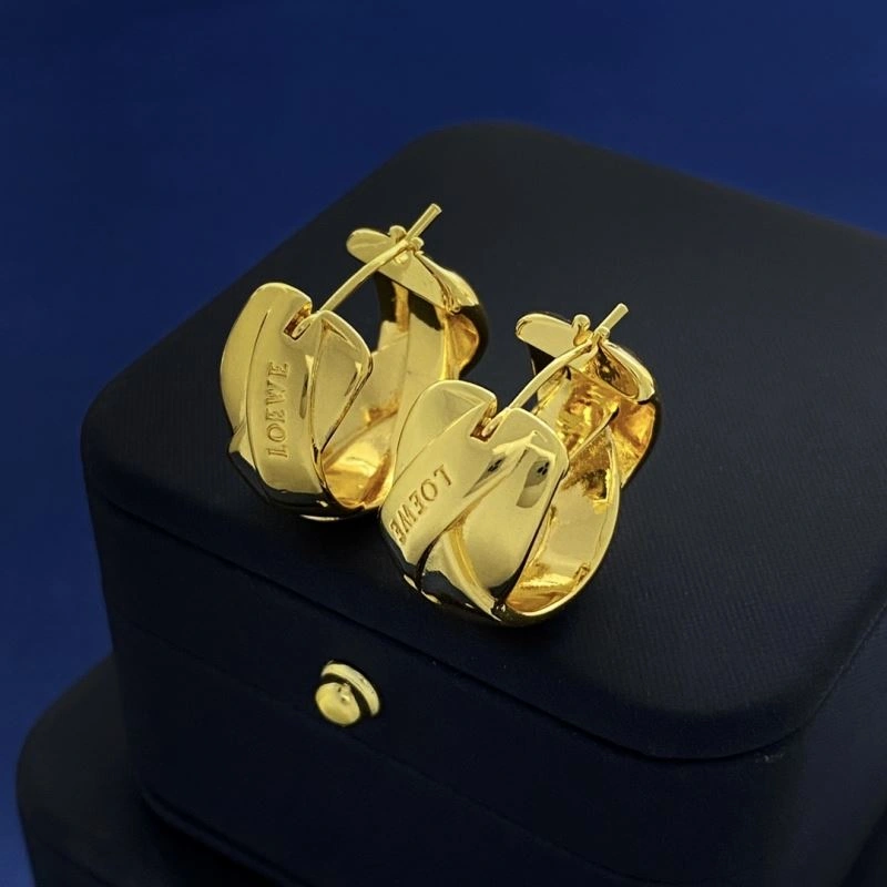 MultiPurpose Loewe Earrings 213896