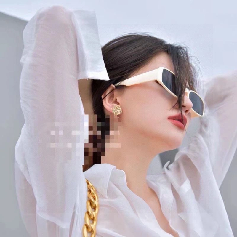 Loewe Earrings Affordable 213465