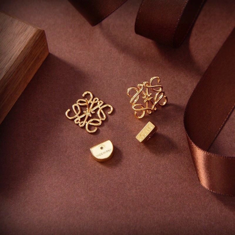 Loewe Earrings Affordable 213465