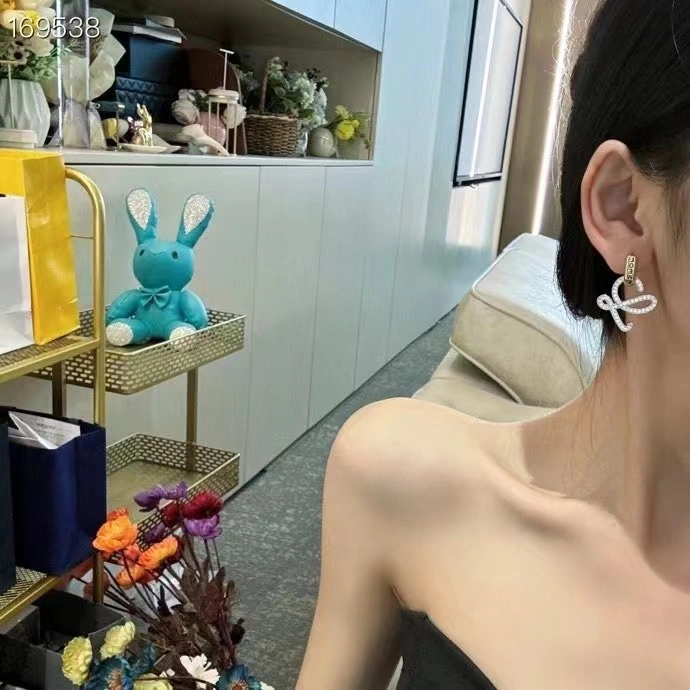 Contemporary Loewe Earrings 214525