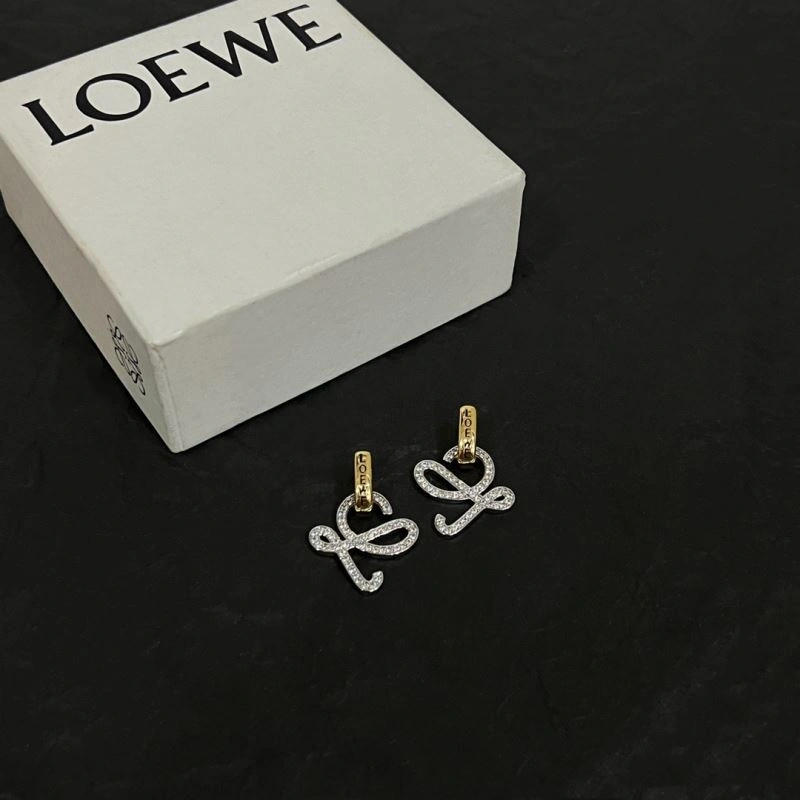 Contemporary Loewe Earrings 214525