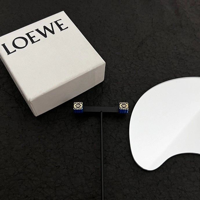 MoistureWicking Loewe Earrings 212580