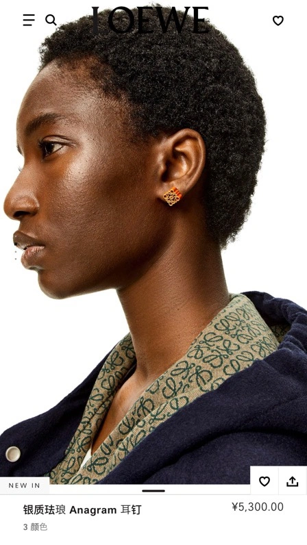 OnTrend Loewe Earrings 212589