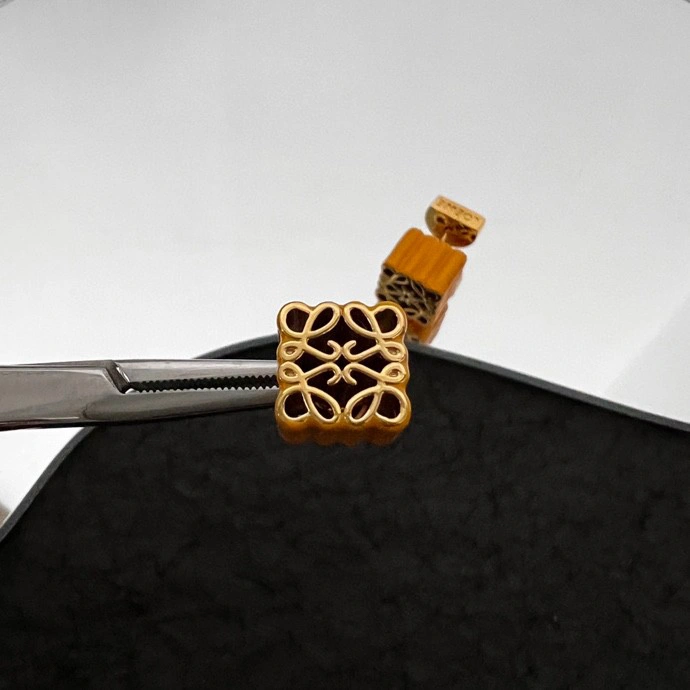 OnTrend Loewe Earrings 212589