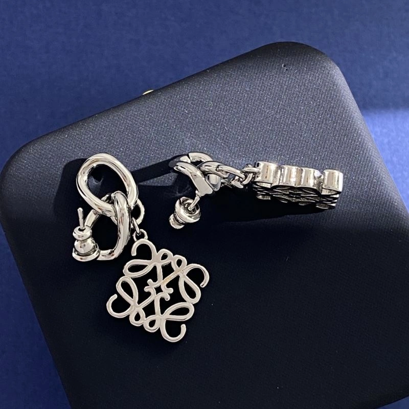 Trendy Loewe Earrings 211924