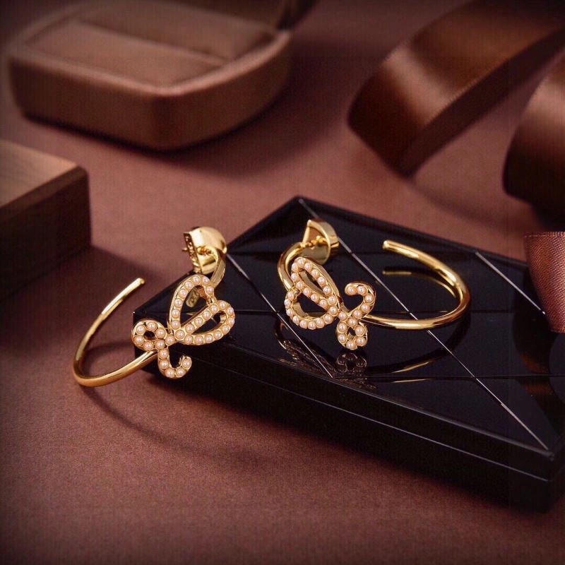 Contemporary Loewe Earrings 211931
