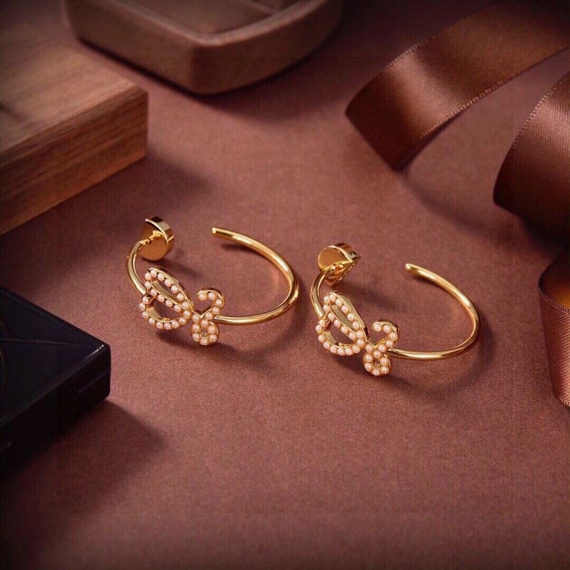 Contemporary Loewe Earrings 211931