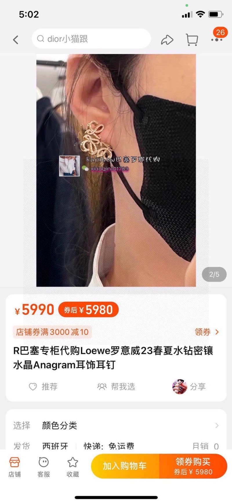 Lightweight Loewe Earrings 211170