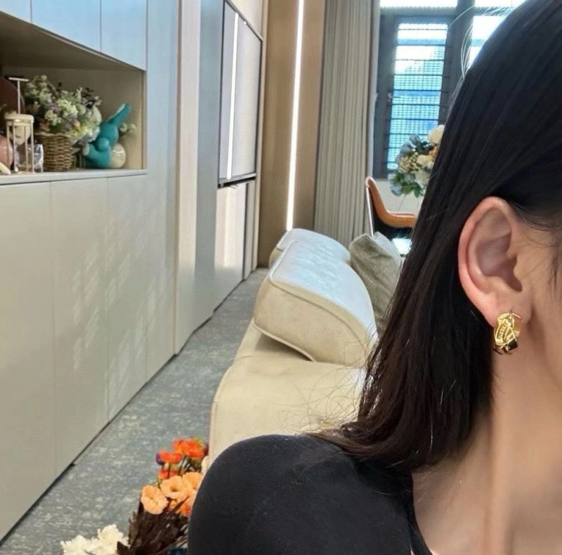 RelaxedFit Loewe Earrings 211174