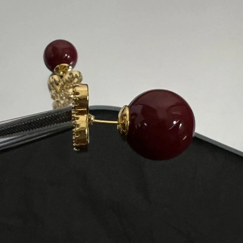 MultiPurpose Loewe Earrings 210611
