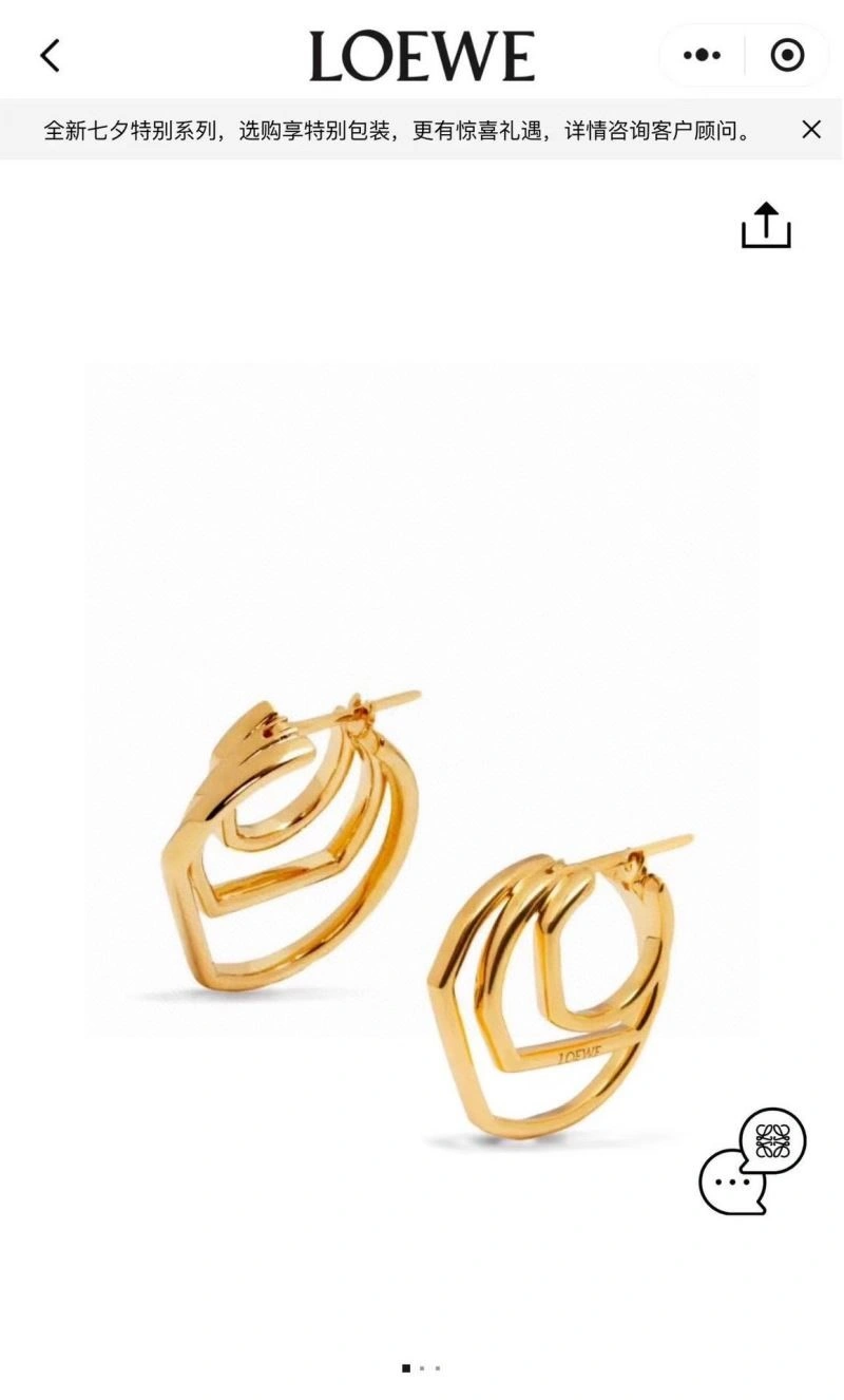 Loewe Earrings Supportive 210606
