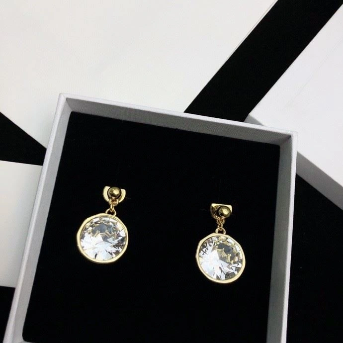 Minimalist Loewe Earrings 209749