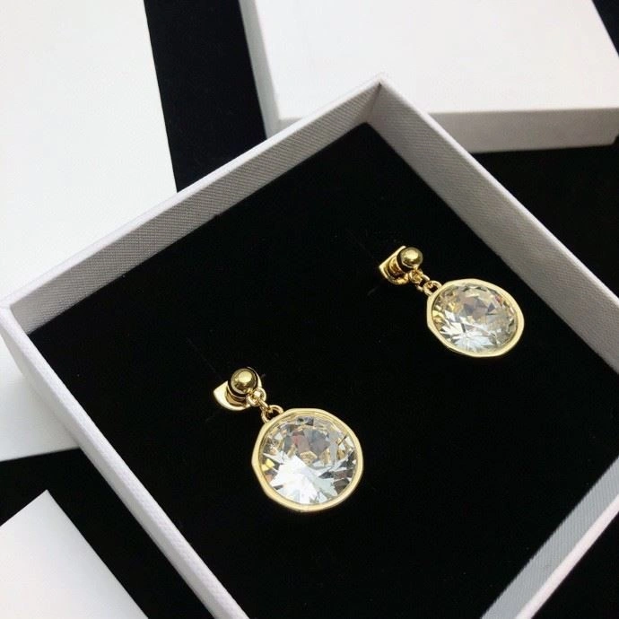 Minimalist Loewe Earrings 209749