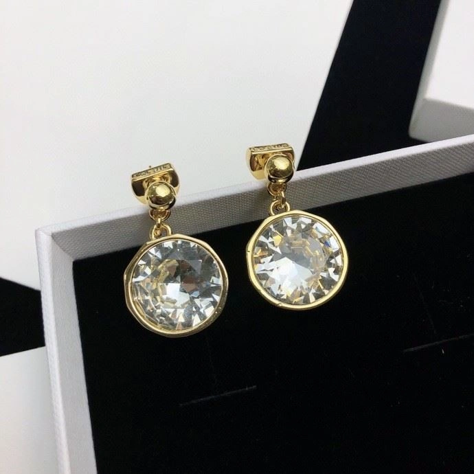 Minimalist Loewe Earrings 209749