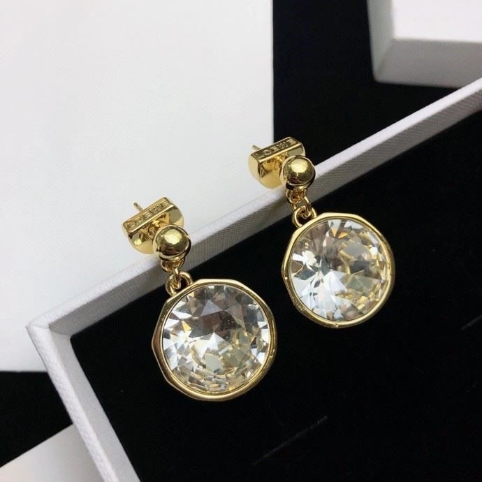 Minimalist Loewe Earrings 209749