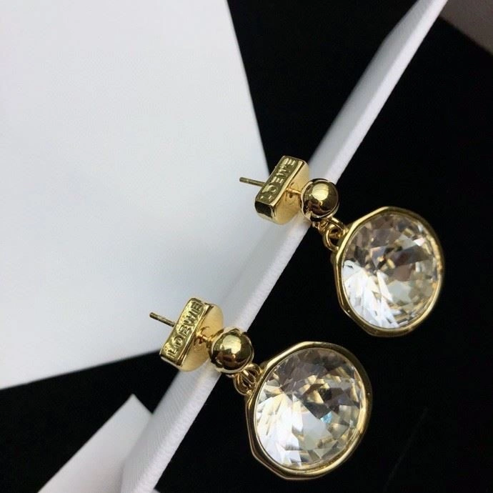 Minimalist Loewe Earrings 209749