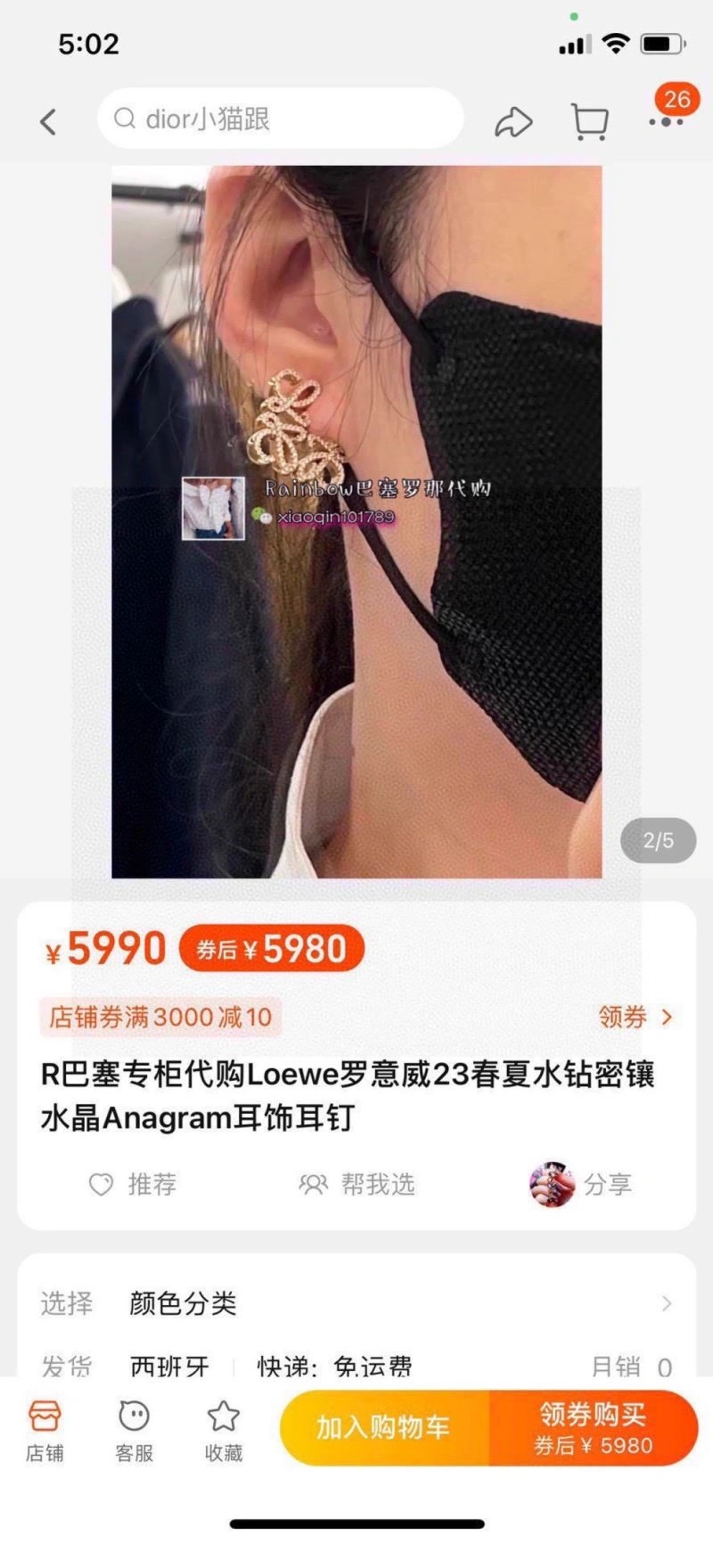 Loewe Earrings UrbanChic 209262