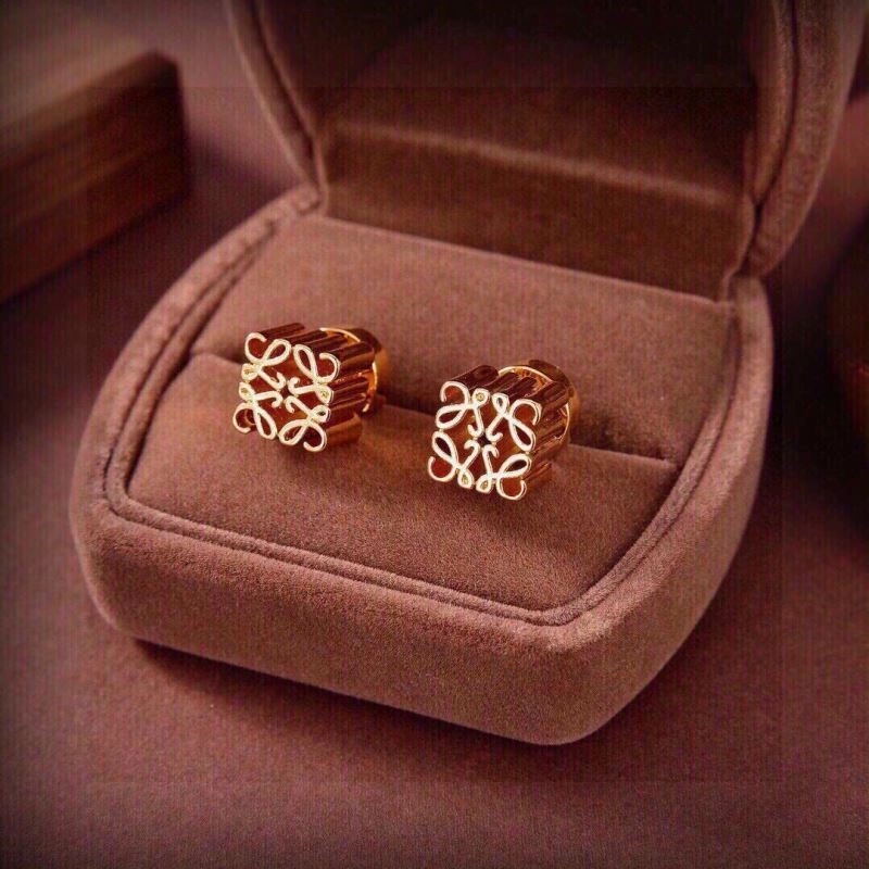 Popular Loewe Earrings 208678