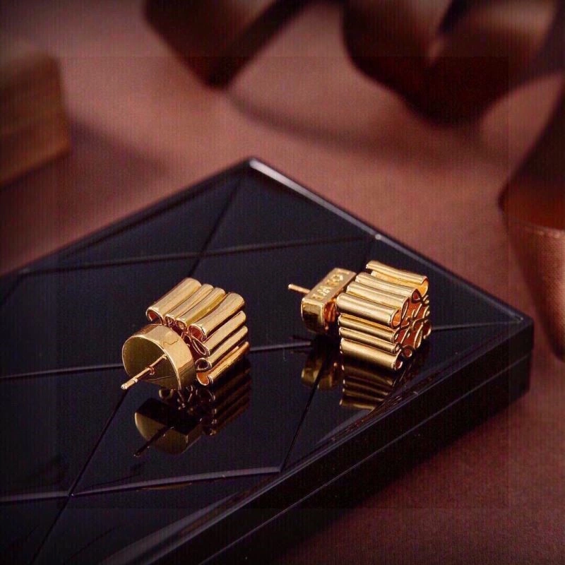 Popular Loewe Earrings 208678