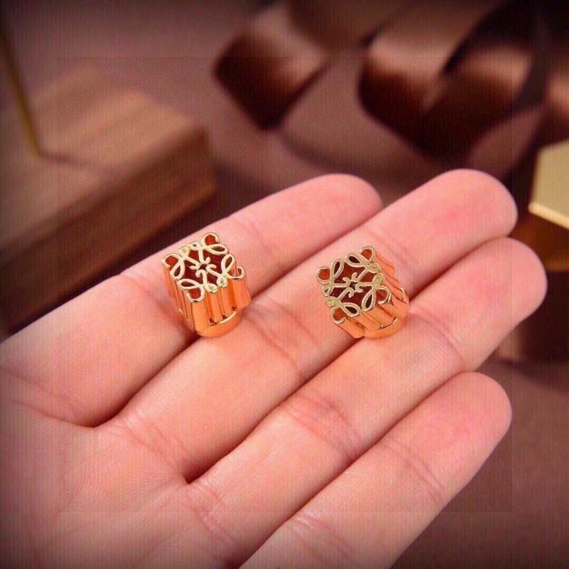 Popular Loewe Earrings 208678