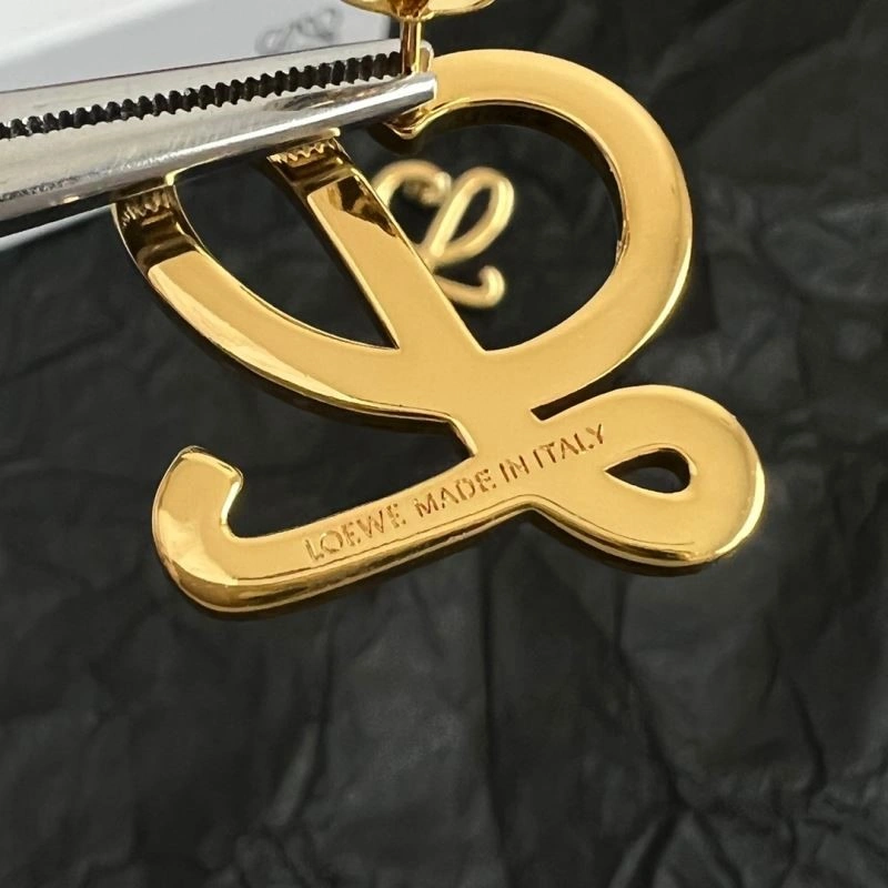 Loewe Earrings Bright 208659