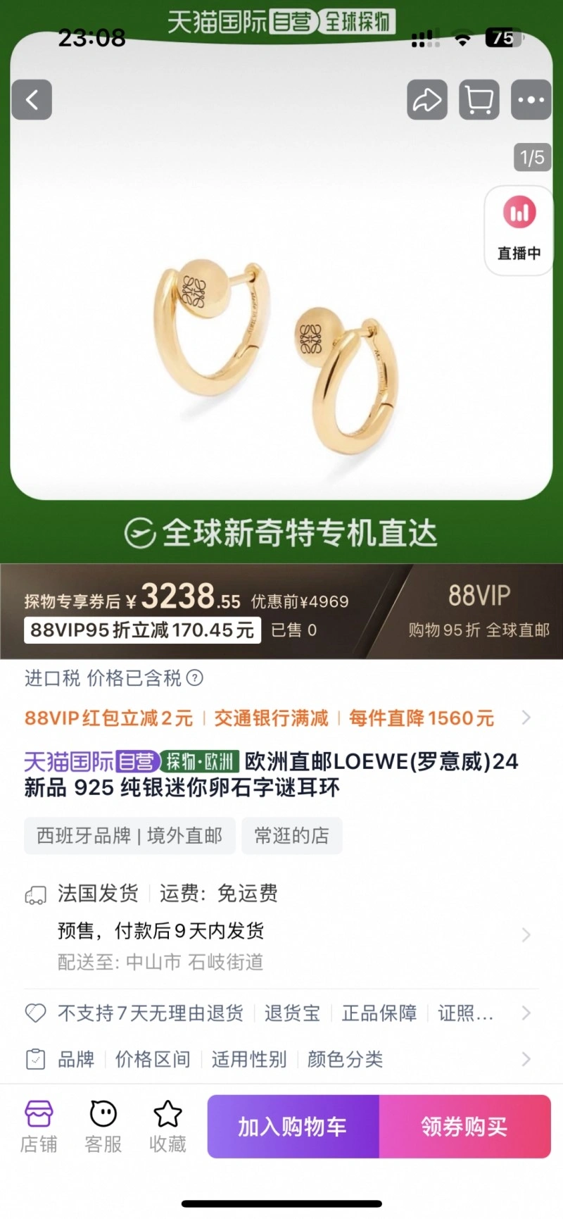 Loewe Earrings Comfortable 208705