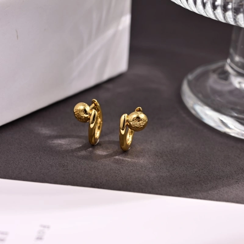 Loewe Earrings Comfortable 208705