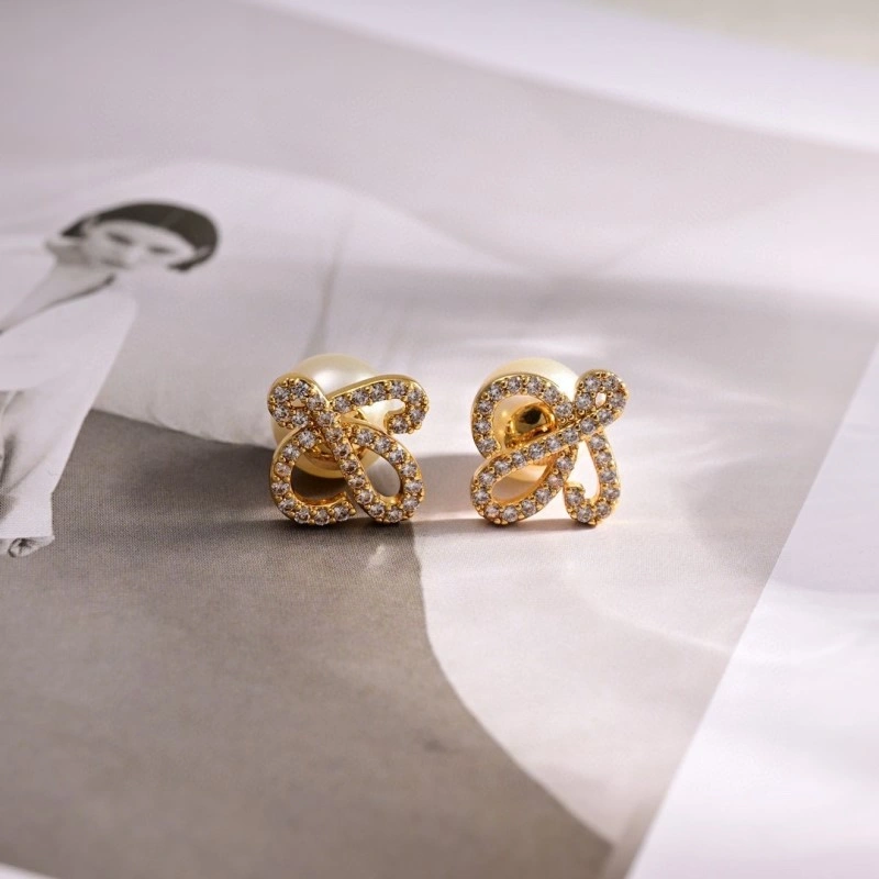 QuickDry Loewe Earrings 207914