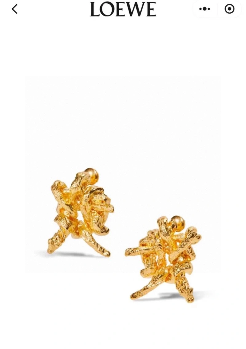 EyeCatching Loewe Earrings 207904