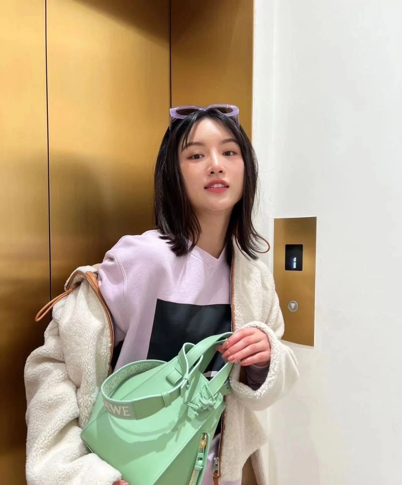 Loewe Hammock Bags AllSeason 77394