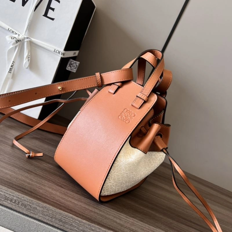 Colorful Loewe Hammock Bags 73395