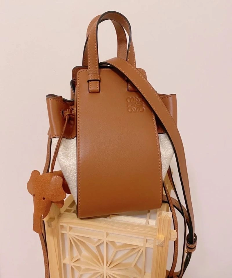 Colorful Loewe Hammock Bags 73395