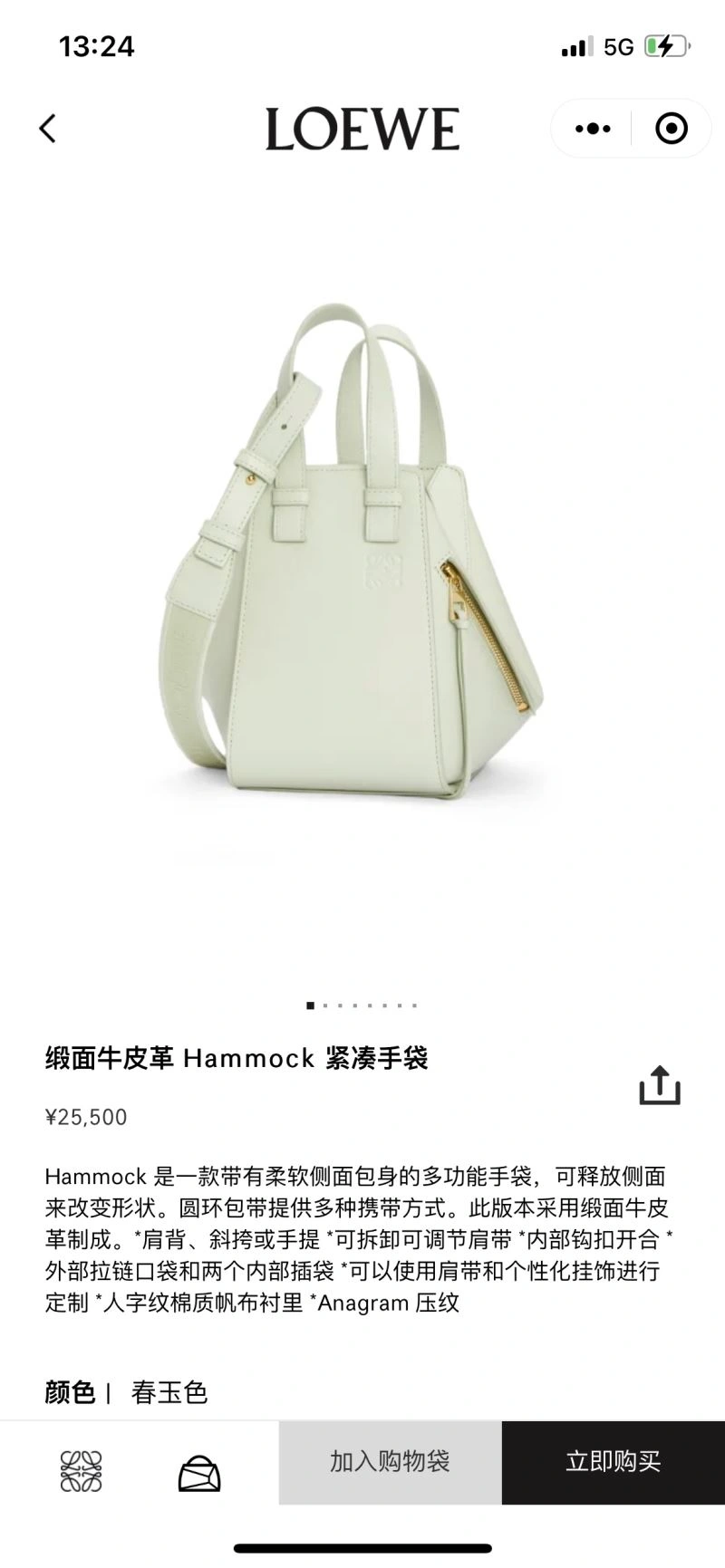 Loewe Hammock Bags AllSeason 73351
