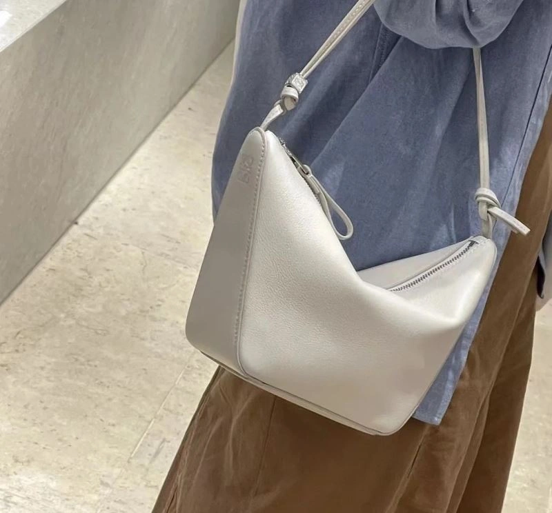 Loewe Hobo Bags Colorful 58454