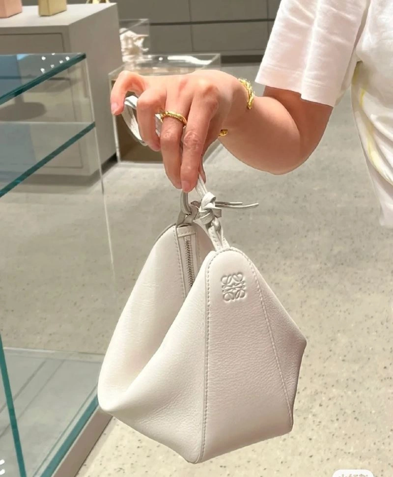 GoAnywhere Loewe Hobo Bags 61610