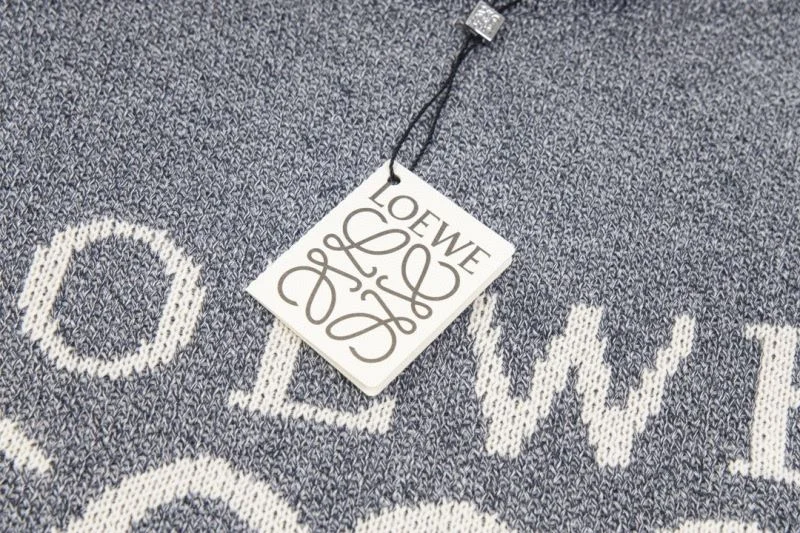 Loewe Hoodies ZipUp 163793