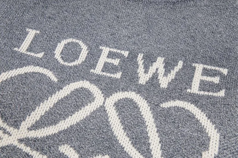 Loewe Hoodies ZipUp 163793