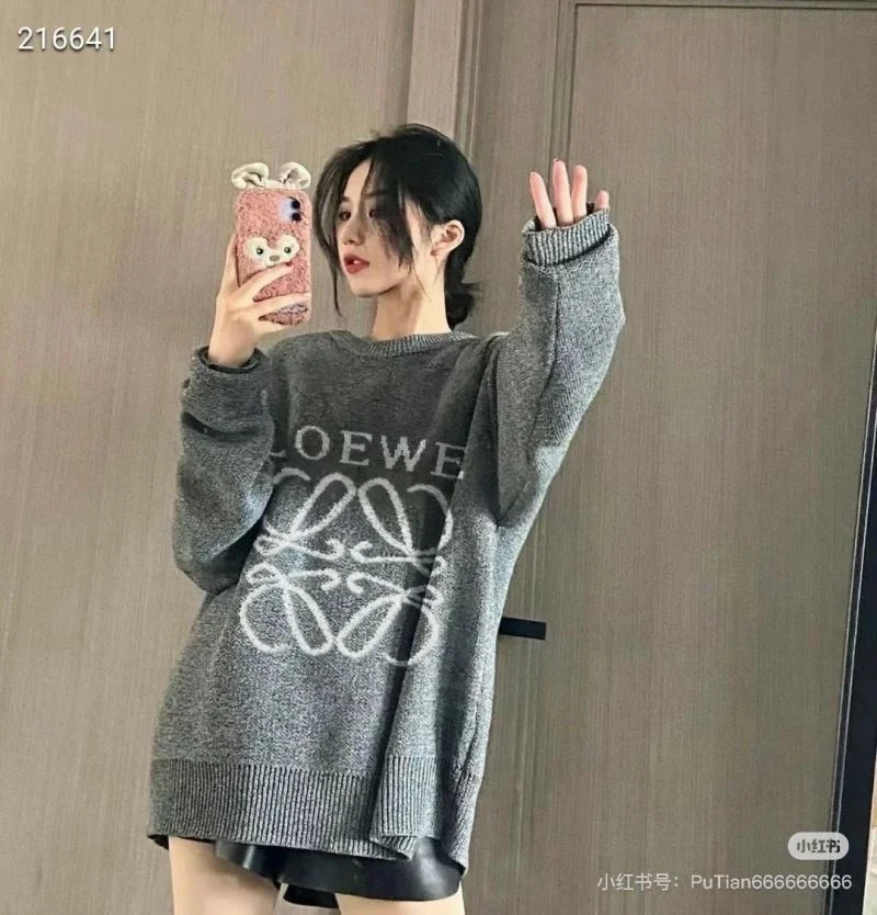 Loewe Hoodies ZipUp 163793