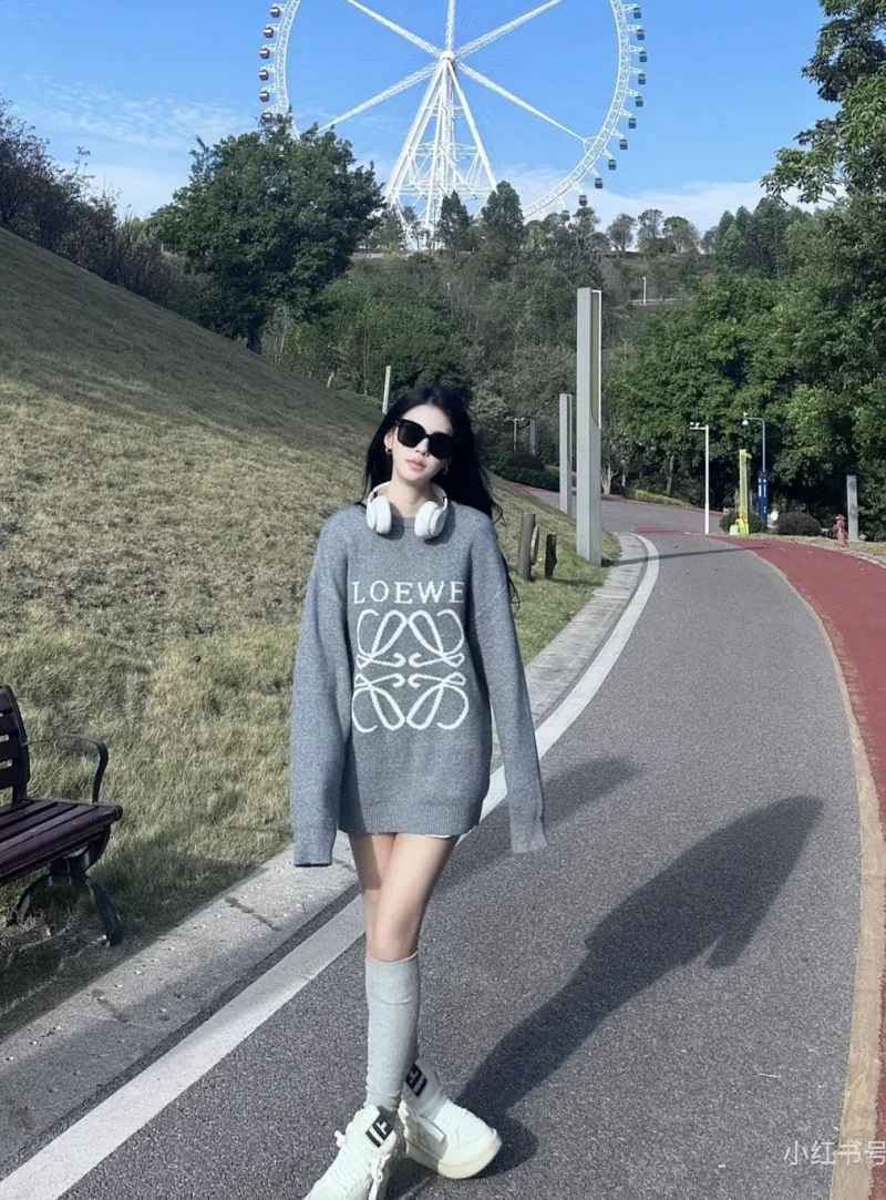 Loewe Hoodies ZipUp 163793