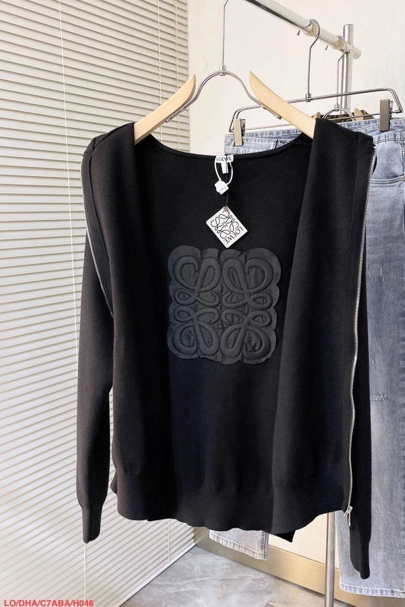 Loewe Hoodies Unisex 152316