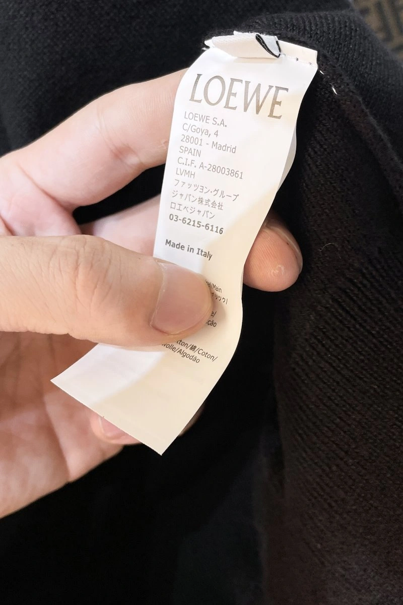 Loewe Hoodies Unisex 152316
