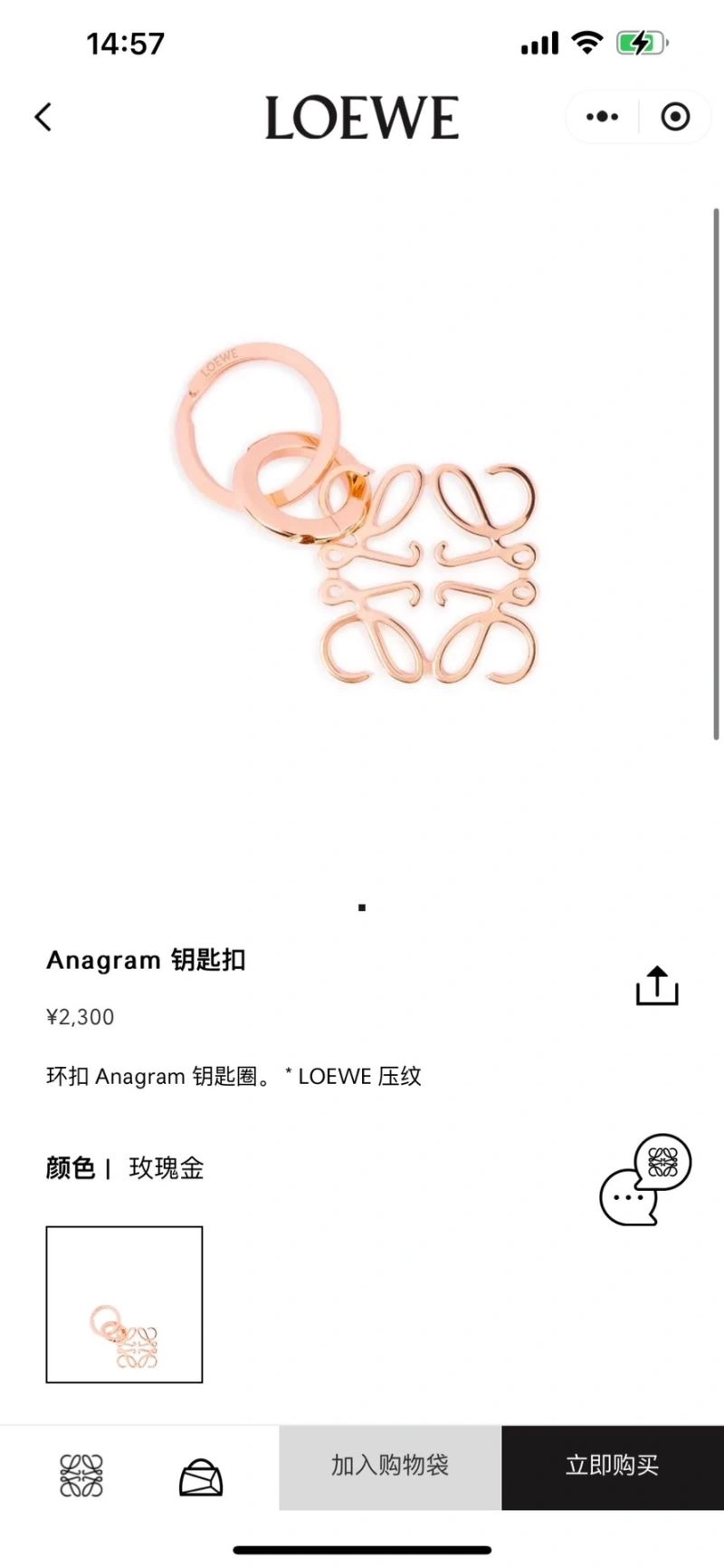 Flexible Loewe Keychains 265869