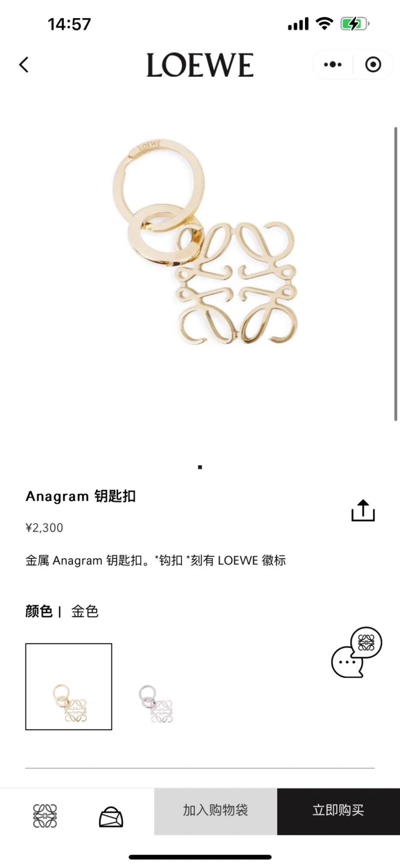 Flexible Loewe Keychains 265869