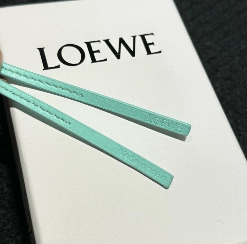Sustainable Loewe Ornaments 269559