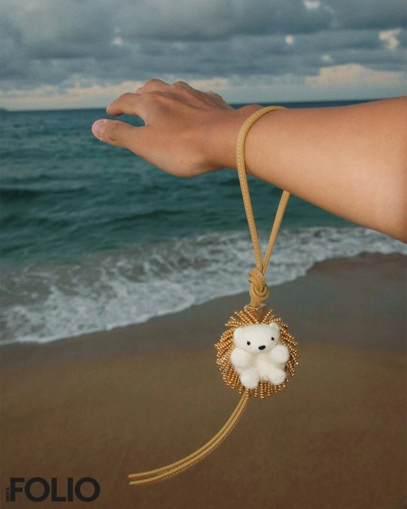 MultiPurpose Loewe Ornaments 269706