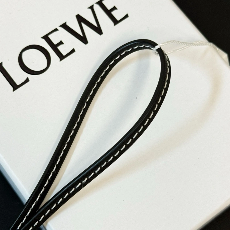 Loewe Ornaments FashionForward 269607