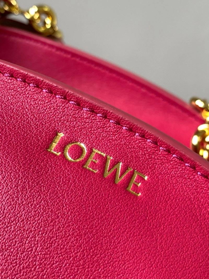 Colorful Loewe Paseo Bags 61234