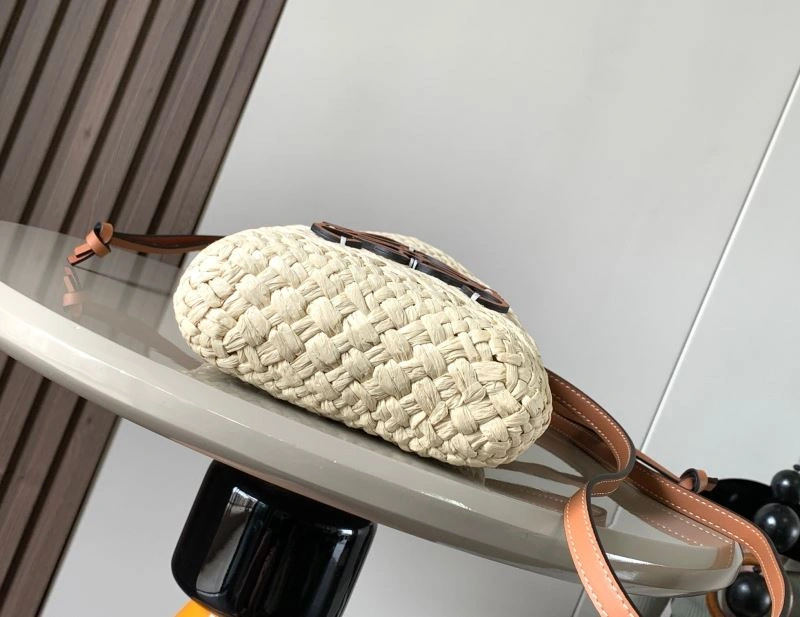 Loewe Satchel Bags Cozy 73079